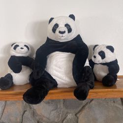Panda Plush 
