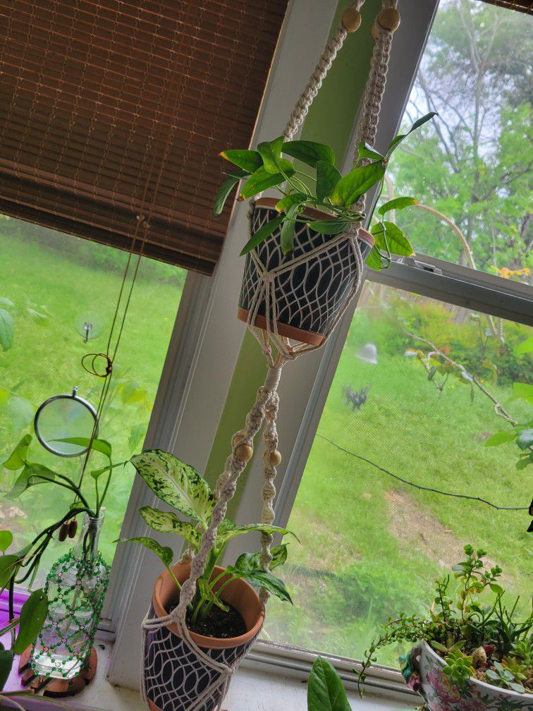 2 Tier Handmade Macrame Plant Hanger * POTS INCLUDED (Plants not)