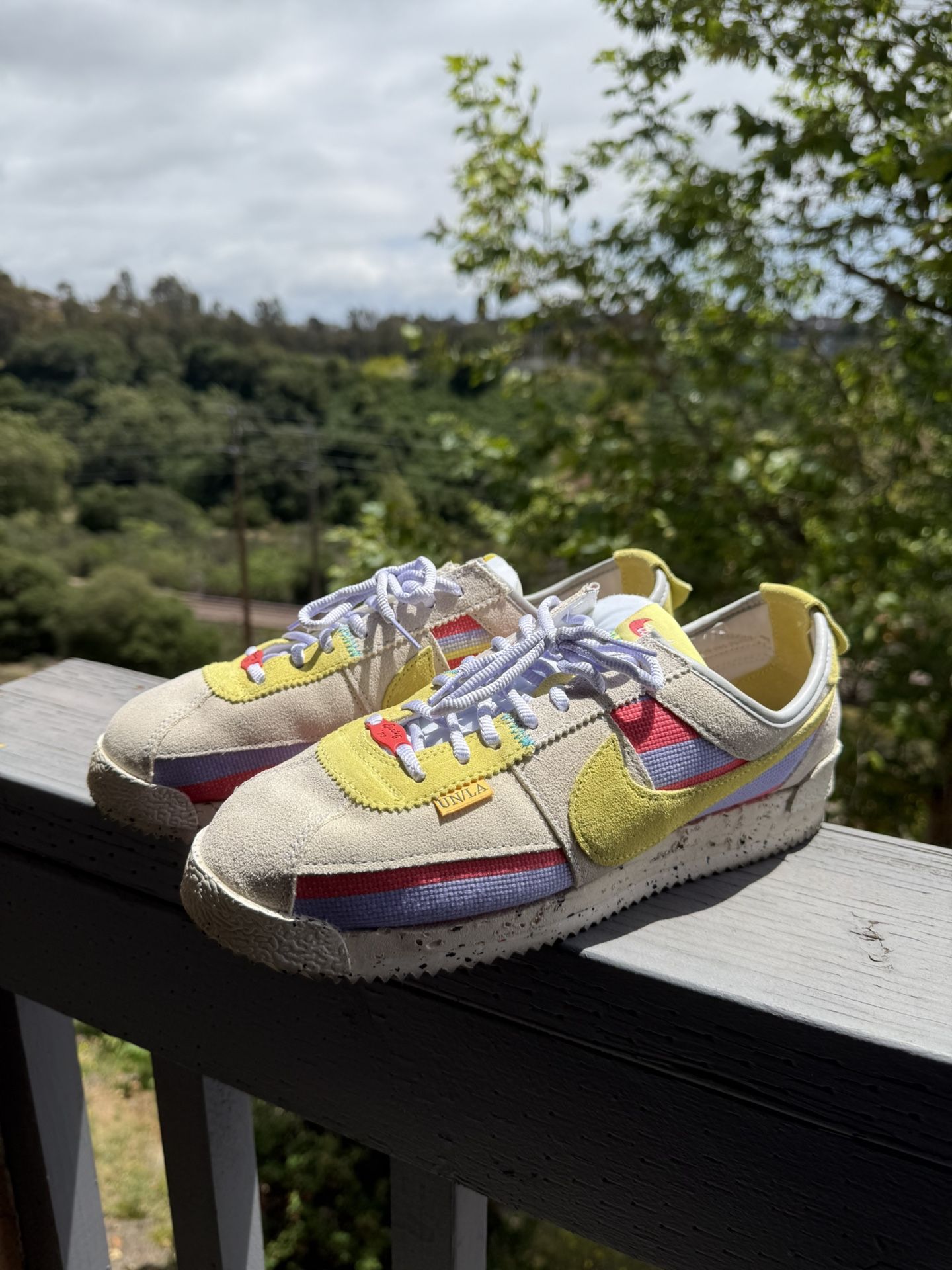 Nike Cortez x Union