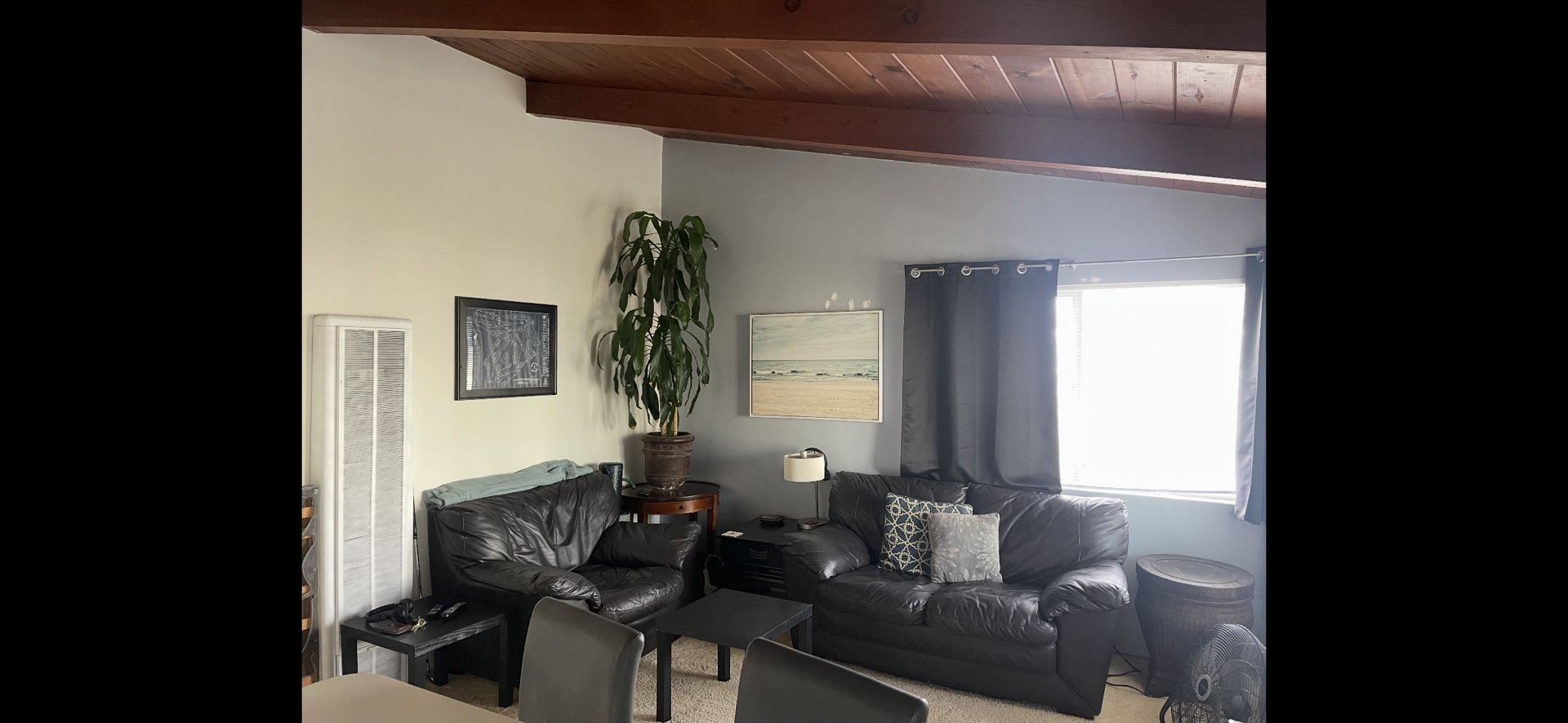 FREE Brown Leather Couch