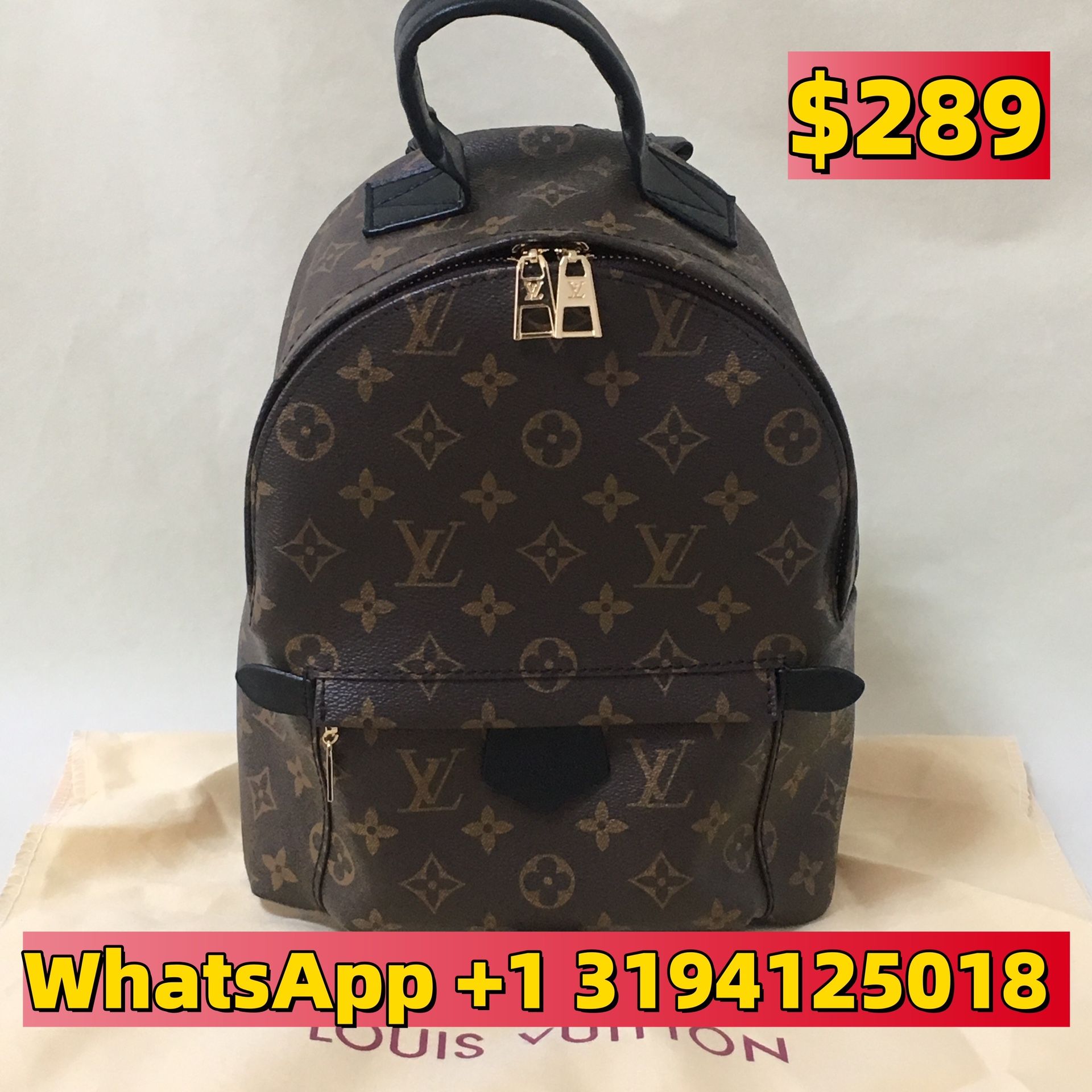 Louis Vuitton Monogram Coated Canvas Backpack
