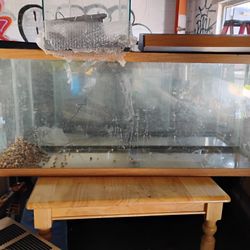 54 Gallon Aquarium 