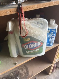 Clorox cleaner with bleach