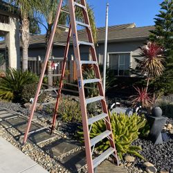 10’ Werner Ladder