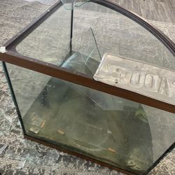Fish Tank