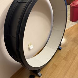Cat Wheel