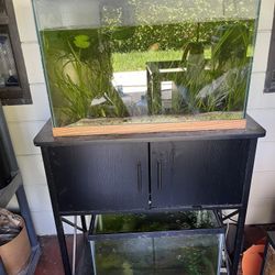 Fish tanks with filter and stand