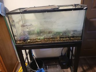 Fish tank for sale