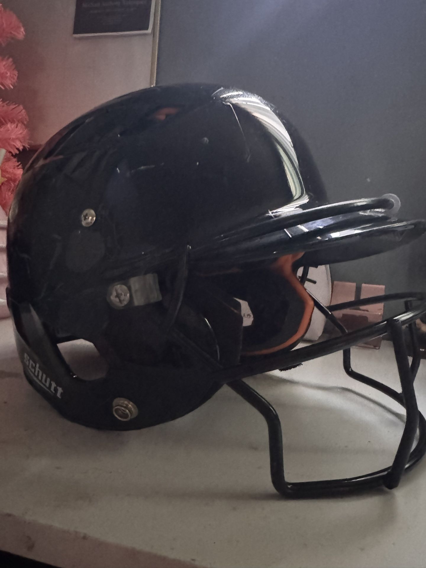 Helmet, Face Guard And Bat