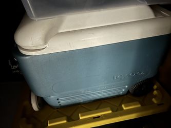 Igloo Cooler