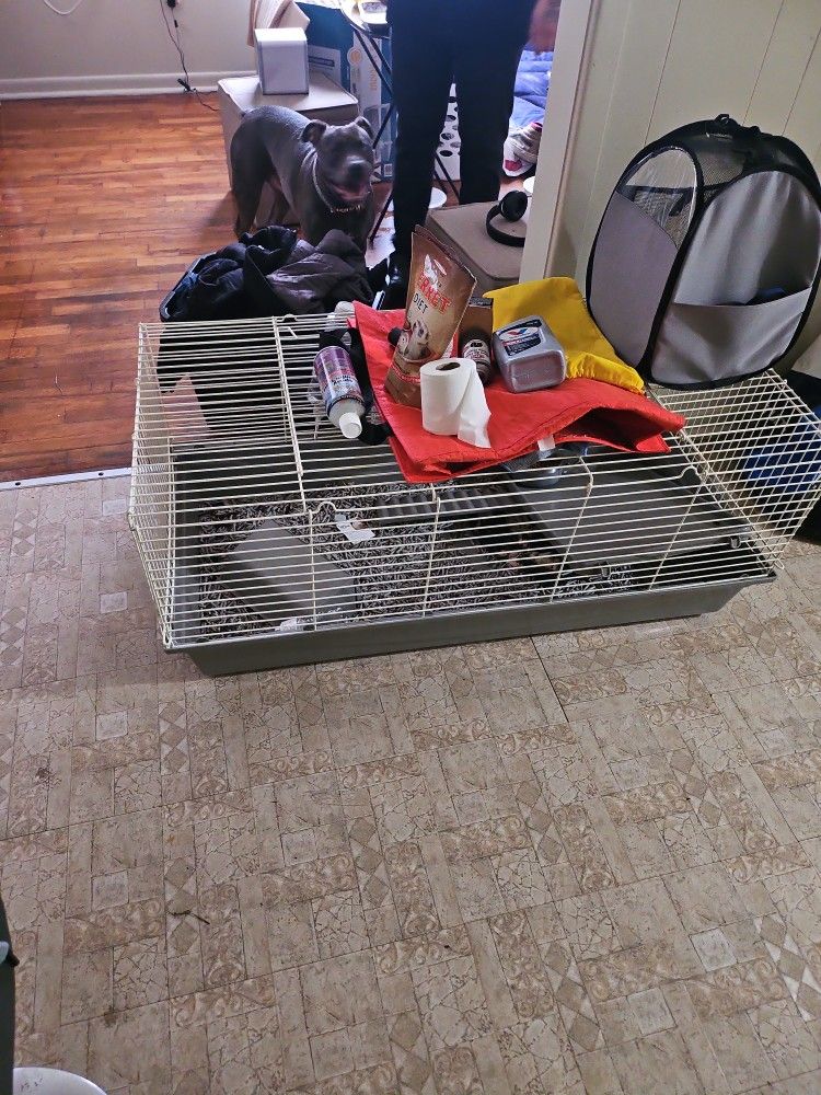 Pet Cage