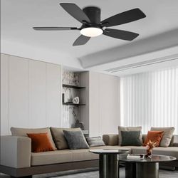 Ceiling Fan