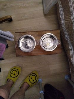 A Dog Bowl For Water And Food