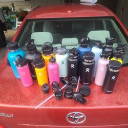 Lots Of Hydroflask Double Insulated Water Bottles For Sale