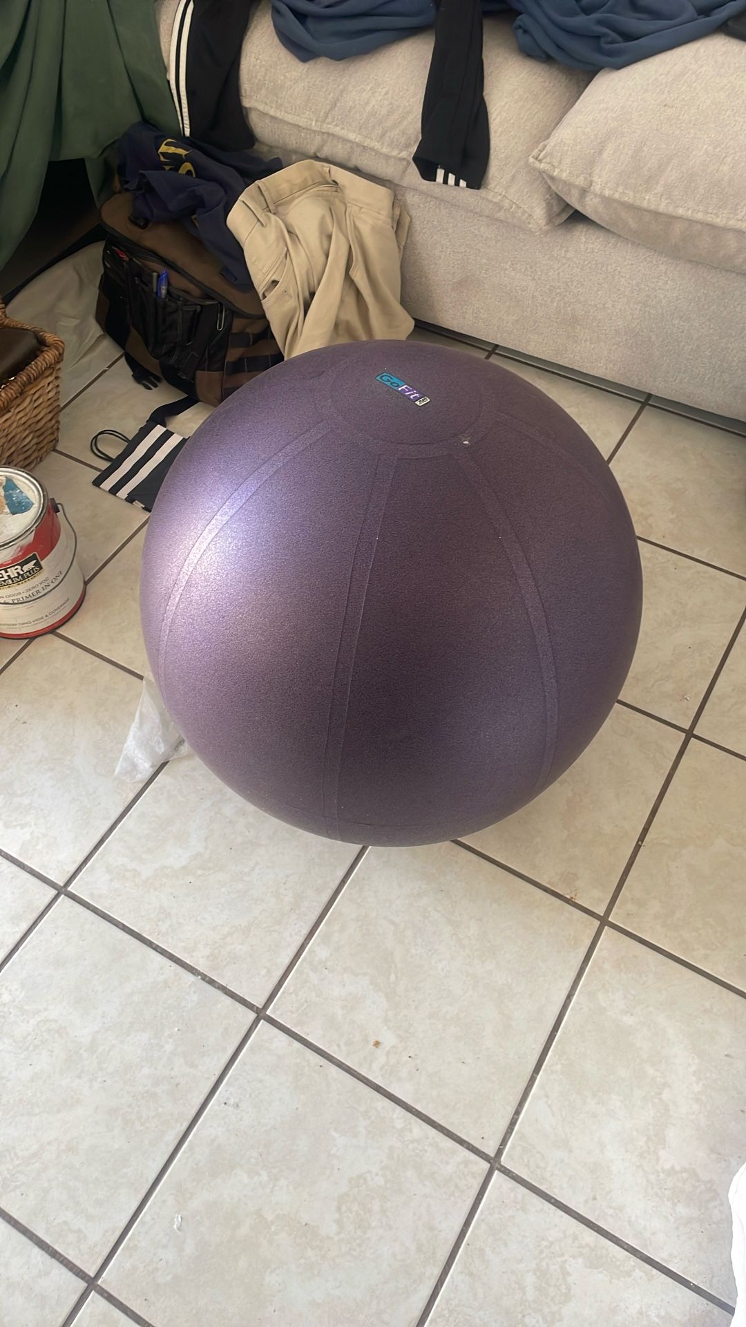 Exercise Ball