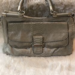 Coach Snakeprint Purse 