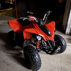 Can Am Ds 70