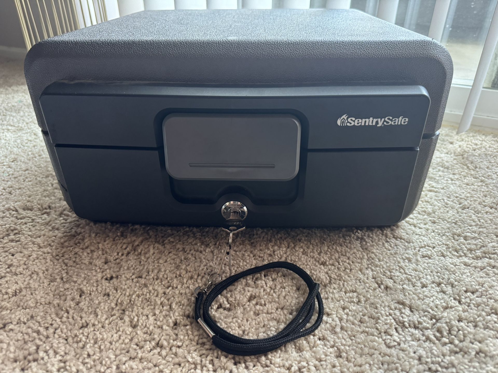 Sentry Safe