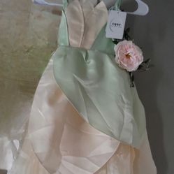 Beautiful lil girls dress