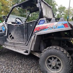 Rzr  Looney Tuned Dual Exhaust 