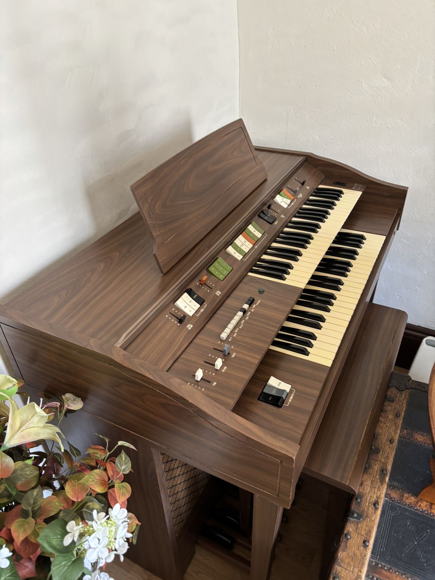 Free Electric Organ