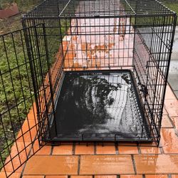 Dog Crate