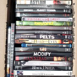 21 DVD lot of Horror Movies