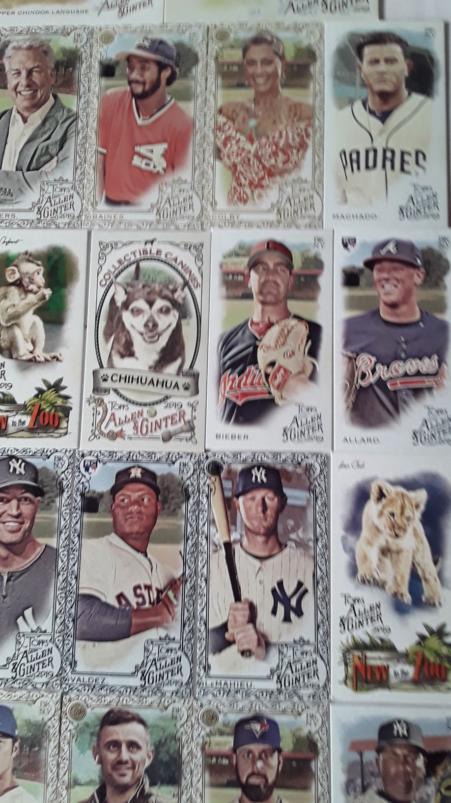 2019 Topps Allen and Ginter Minnie's. 30.