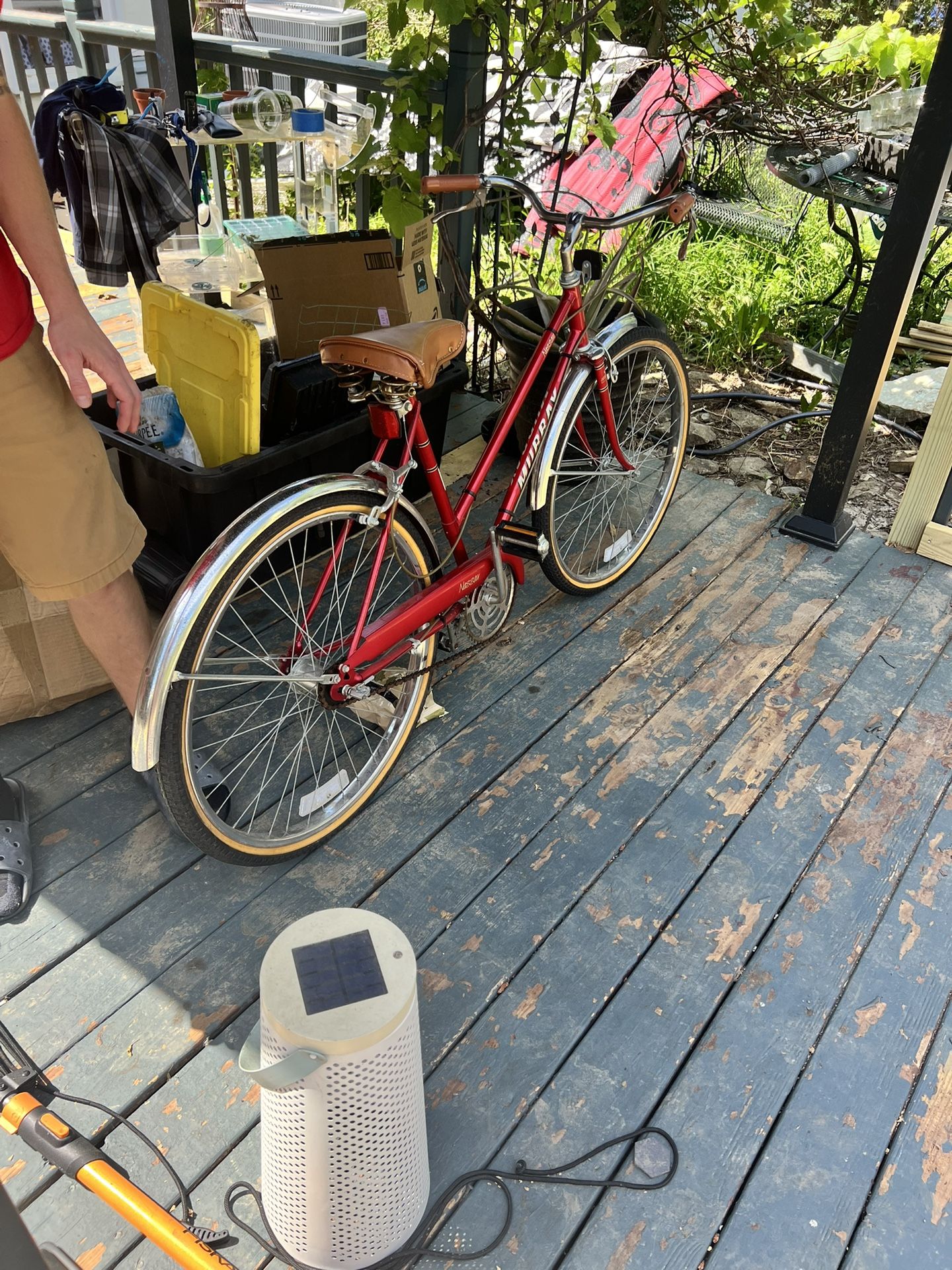 Vintage Murray bike