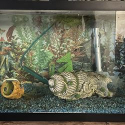 20 Gallon Fish Tank Aquarium 