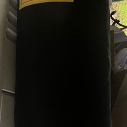 Everlast Punching Bag