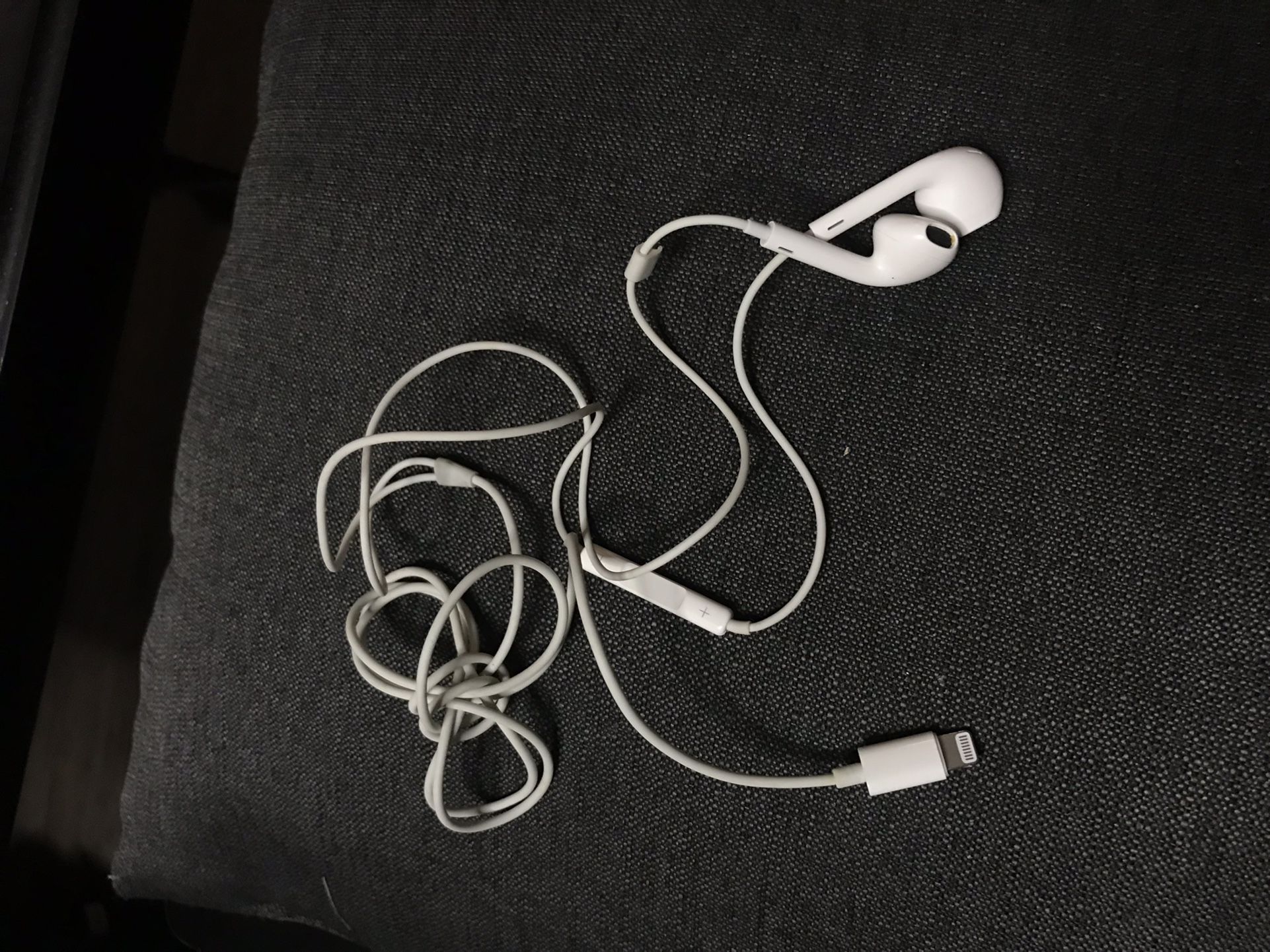 Apple Earphones With Apple Connection 