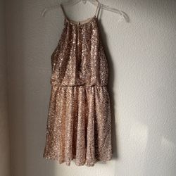 Brand New Woman’s Forever 21 brand Pink Sequin Dress Up For Sale