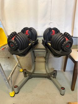 552 SelectTech Dumbbells (Great Condition)