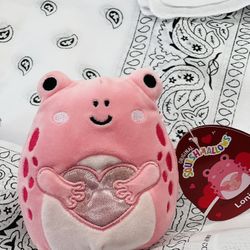 squishmallow 4,5”