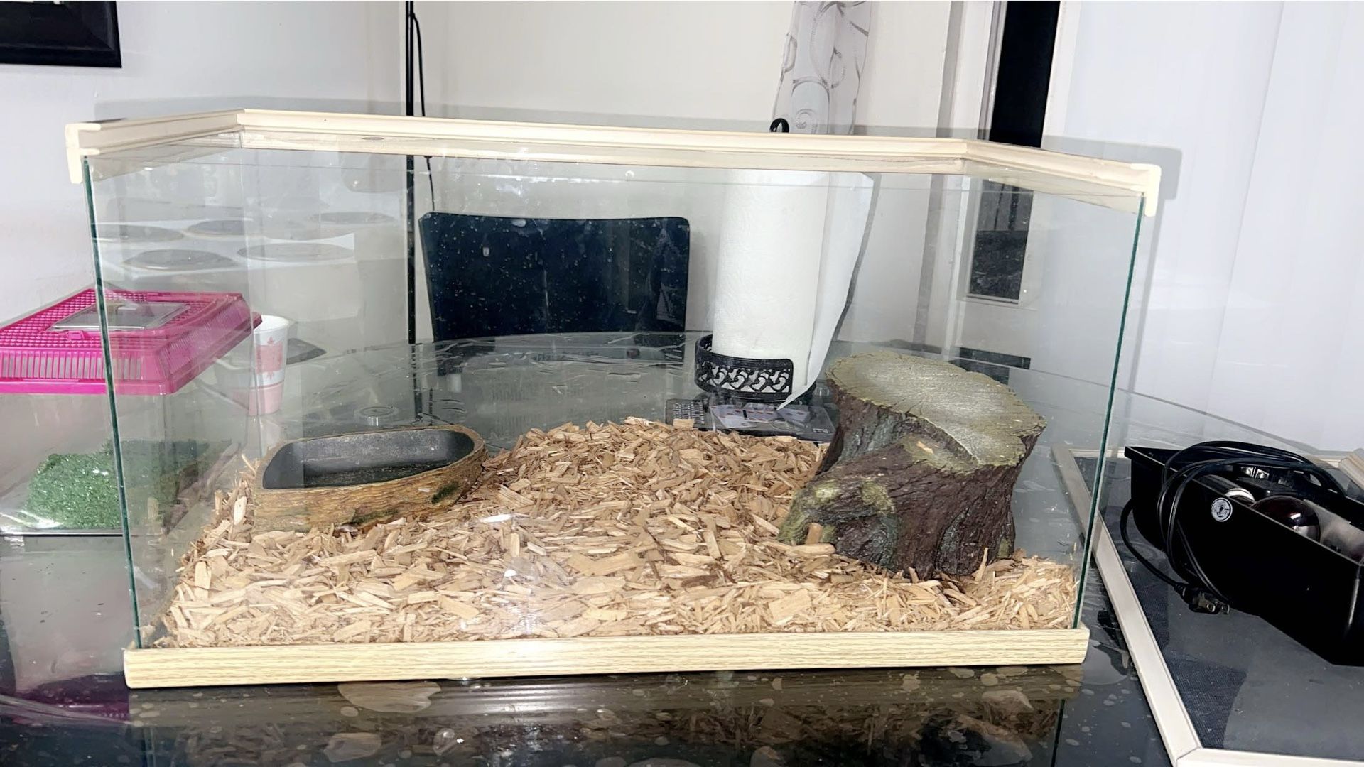 Fish Tank