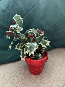 Poinsettia plant plastic- Christmas Decor