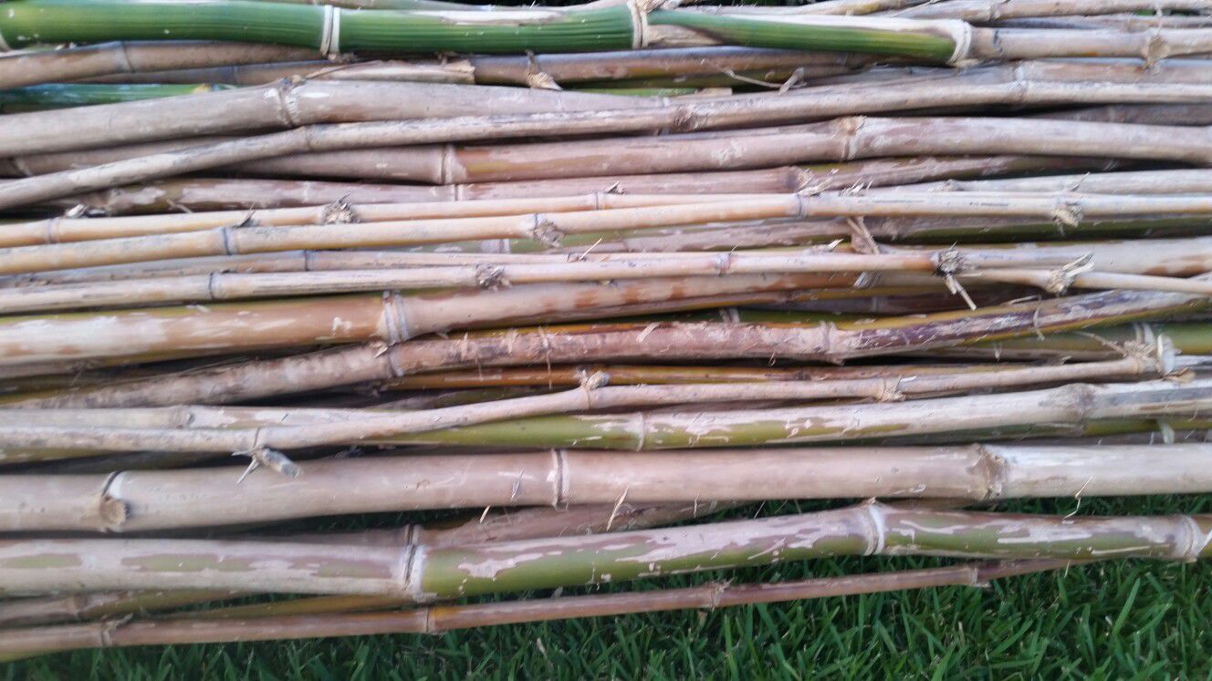 Bamboo sticks for sale PRICE NEGOTIABLE