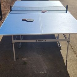 Ping Pong Table