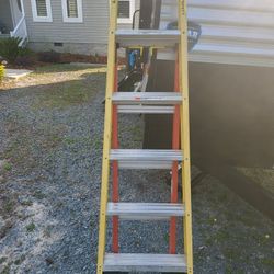 Werner 3 And 1 ladder