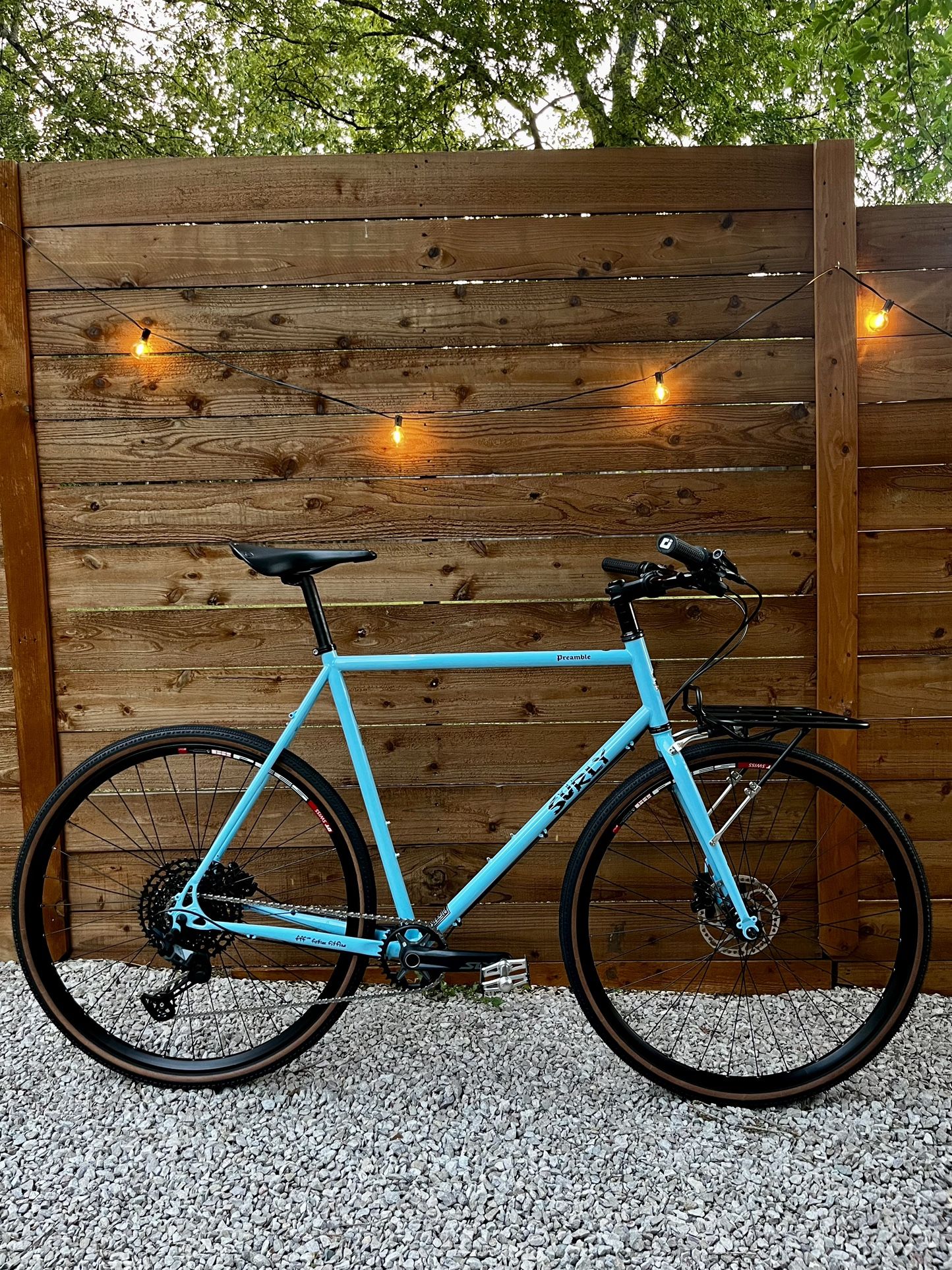 Surly Preamble Size Large Custom Build