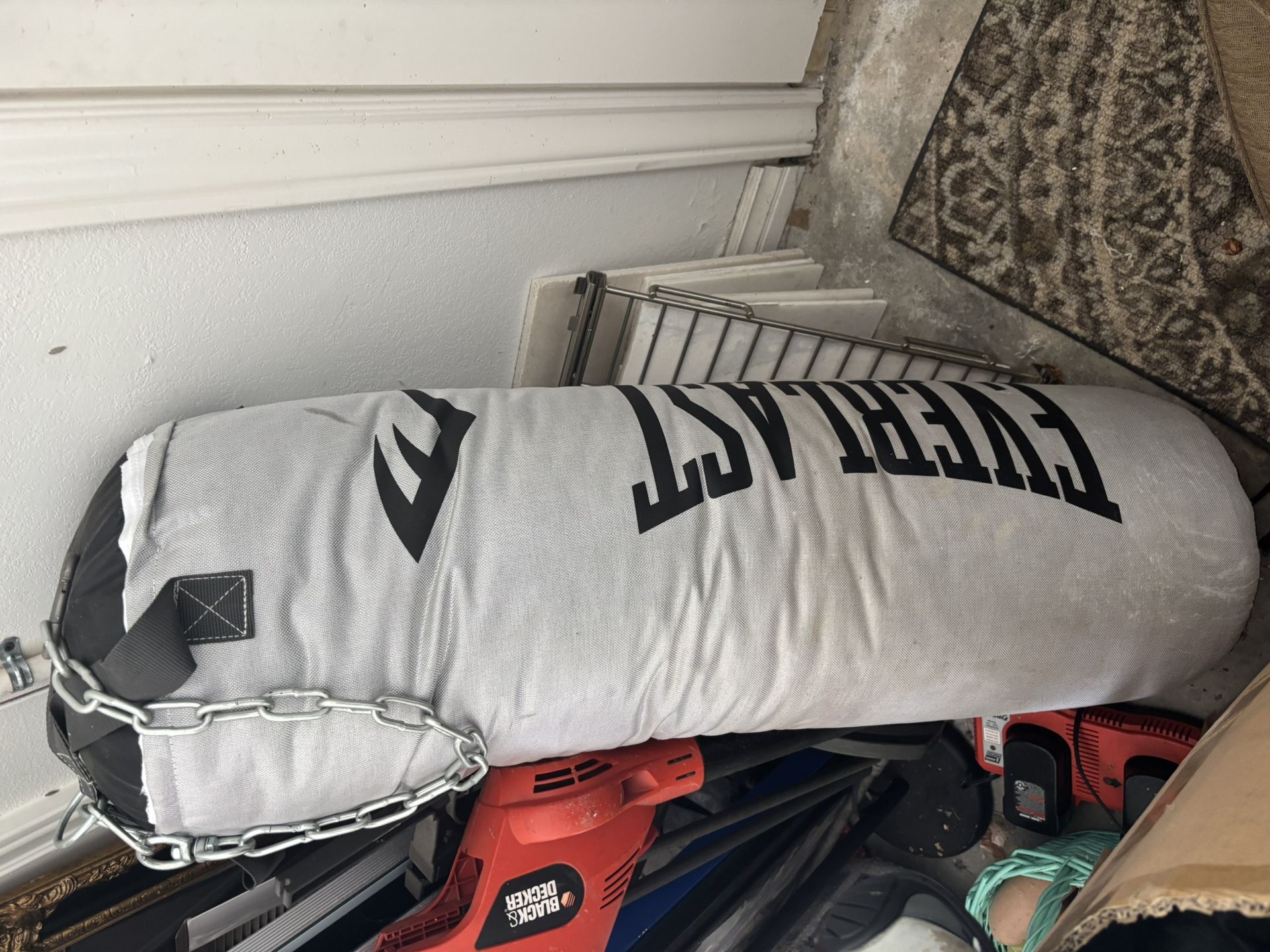 Everlast Punching Bag