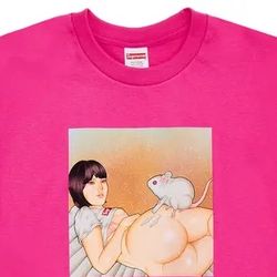 Supreme T Shirt 
