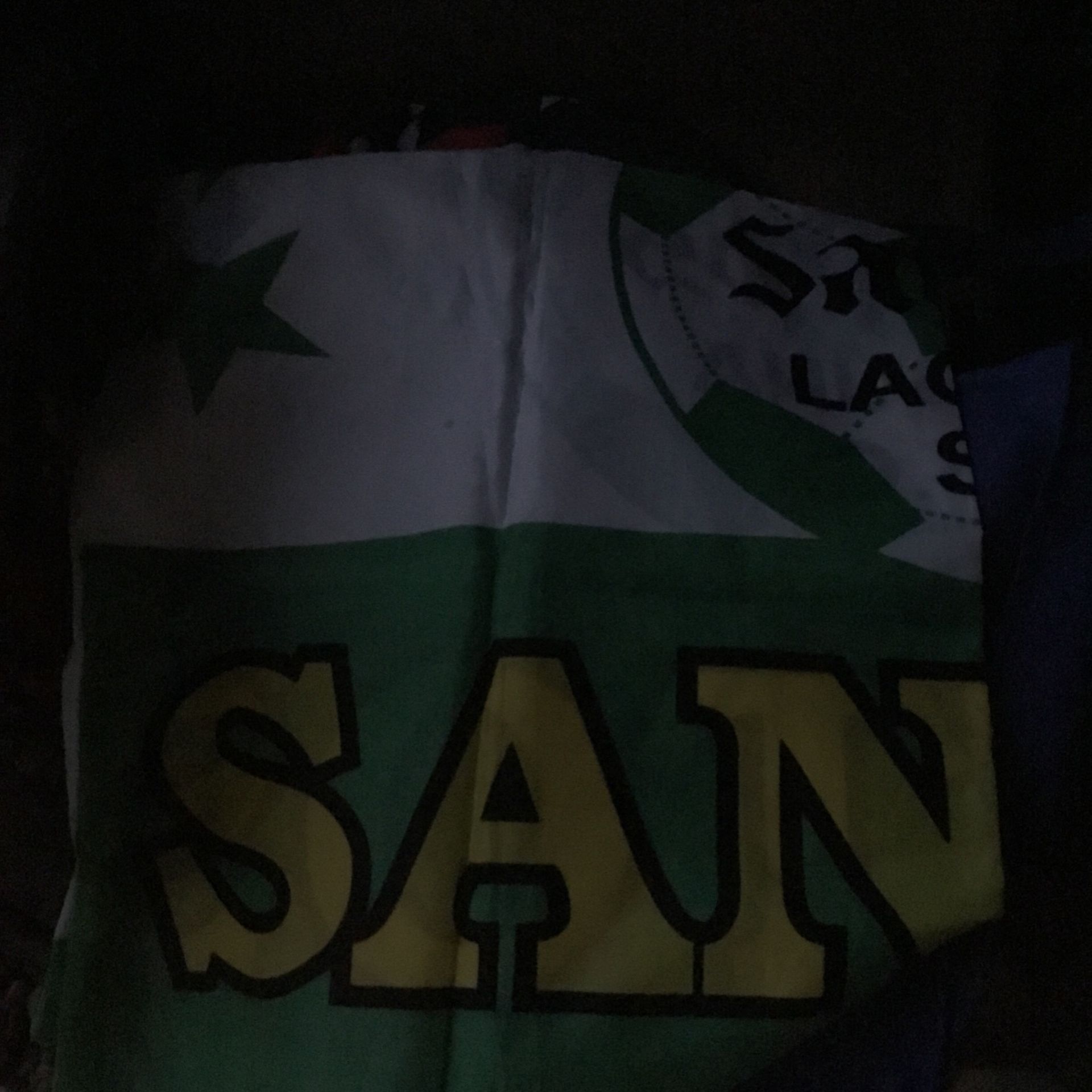 Bandera Súper Grande . Santos Laguna.