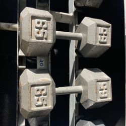 65lb Dumbbells 
