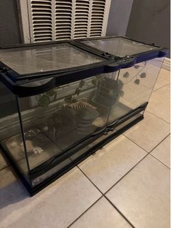 Reptile tanks