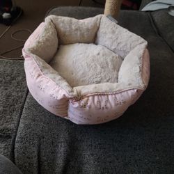 Brand New Cat Bed