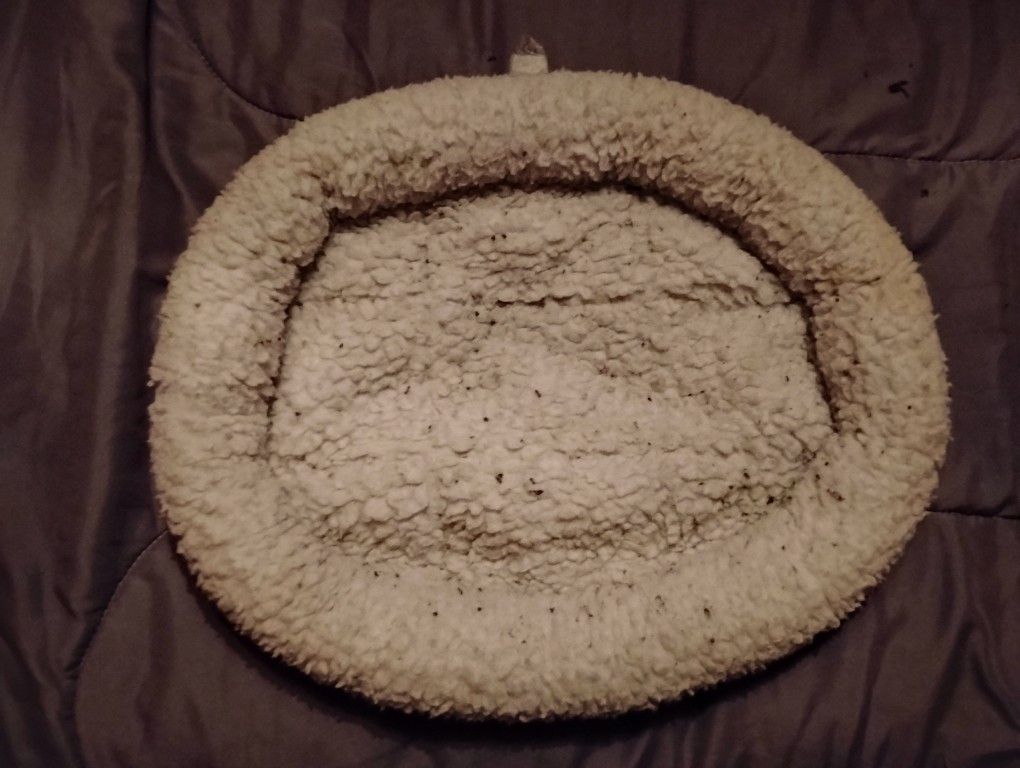 Cat Bed