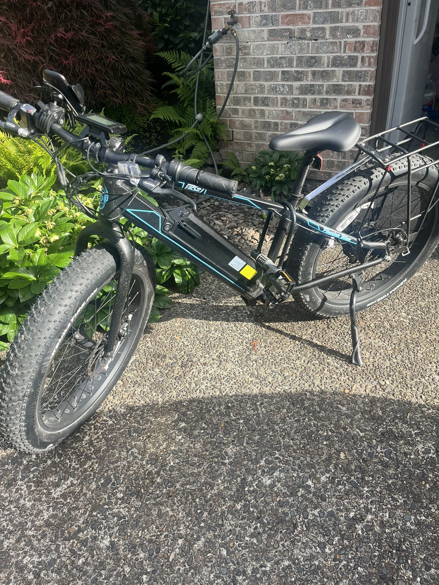 Electric Bike