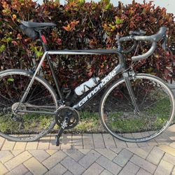 Road Bike For Sale